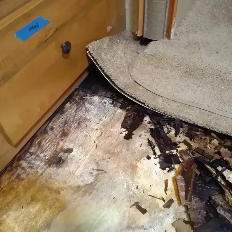 Best Wood Floor Water Damage Service in Kingstree, SC